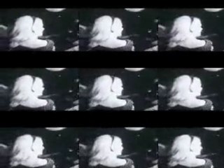 wface / jingle bell rock
