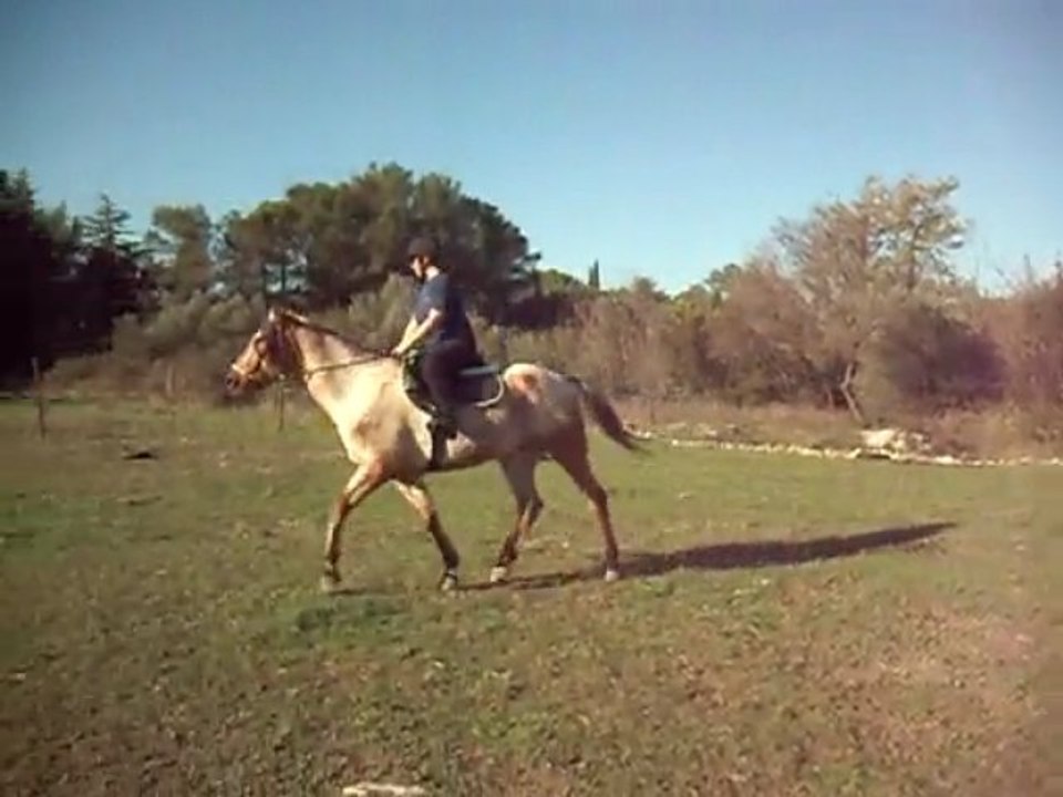 Jumper