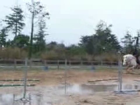 Jimbo et Anne sur 1,20m