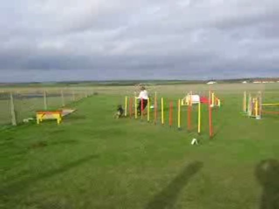 agility du 28 novembre