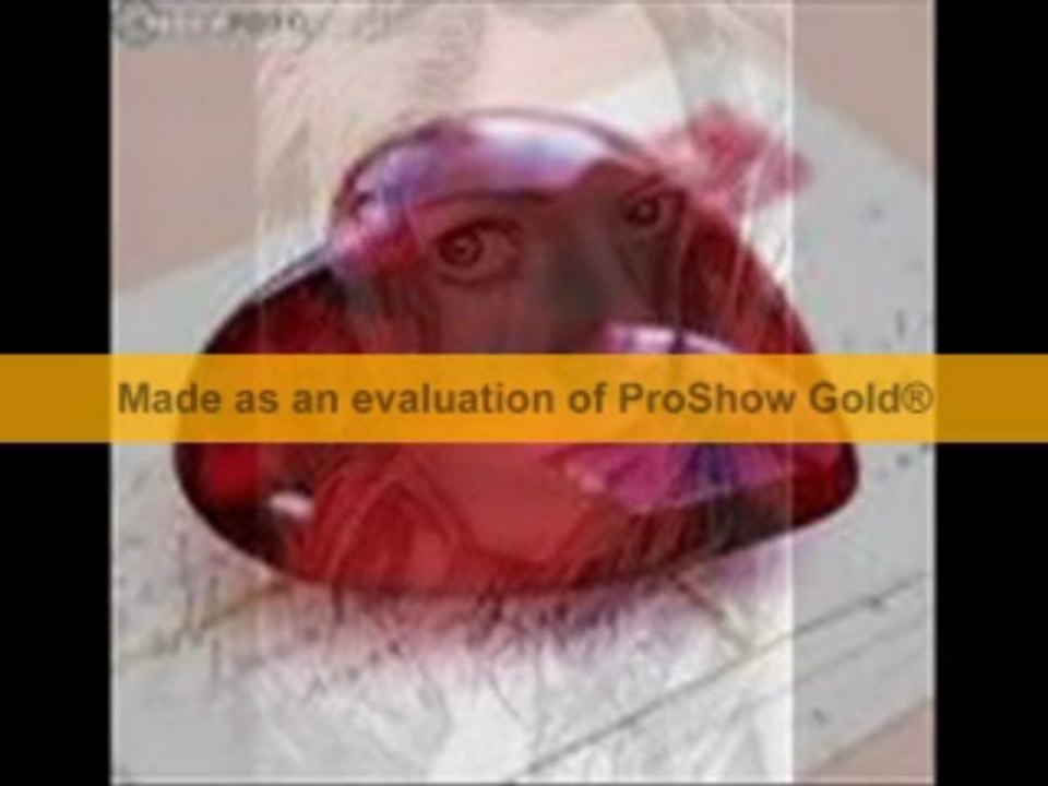 Cengiz kurtoglu-resmini öptümde yattım