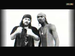 Positiv Young Lion - Babylon Bad Boy