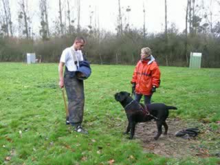 Dino mordant2 - 28/11/09