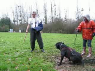 Dino mordant4 - 28/11/09