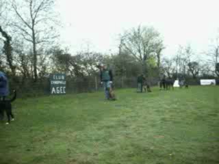 Séance de marche au pied.  A.G.E.C.