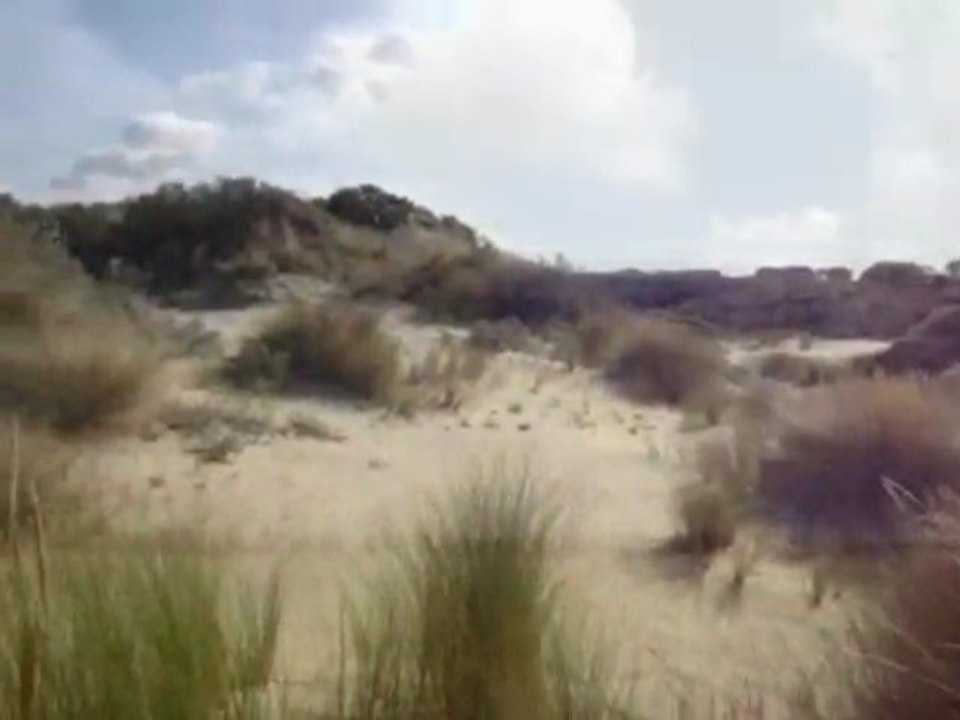 Herman van den Berg-My Lae Land