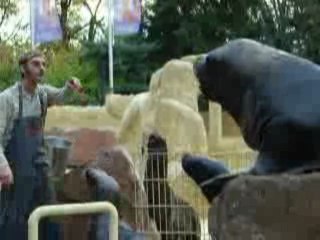 Wir bitten zu  Tisch