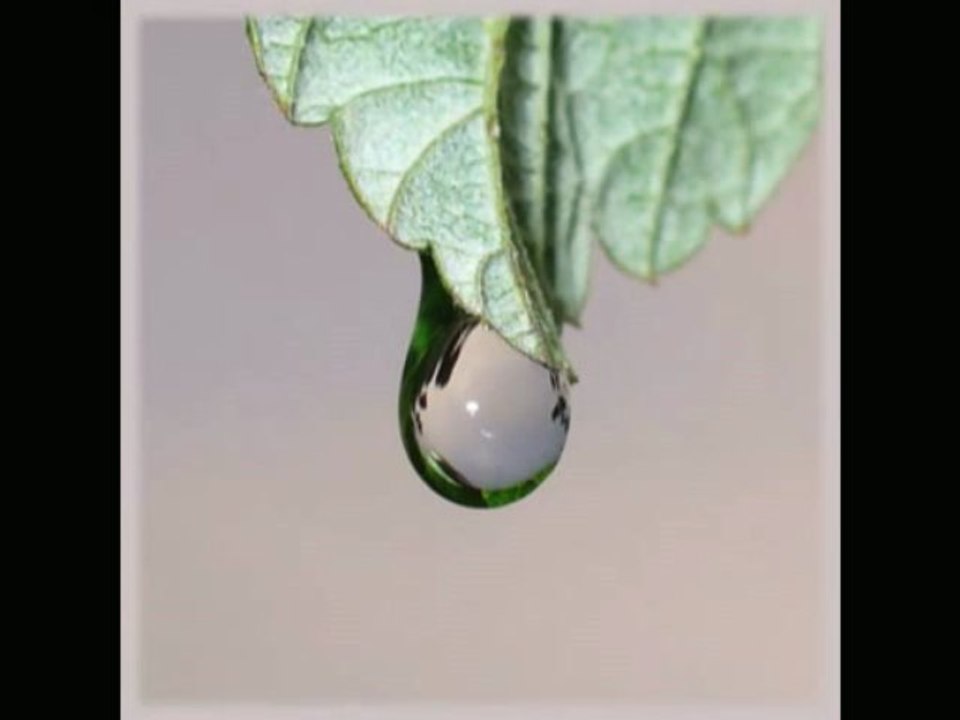 Blaguno Dejce Makedonya Balkanlıyız Balkancıyız