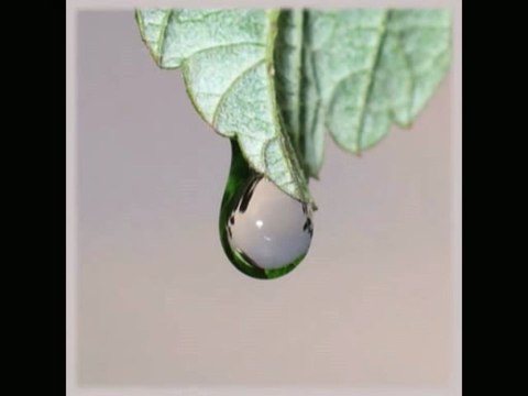 Blaguno Dejce Makedonya Balkanlıyız Balkancıyız