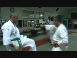 Révision de Nihon Tai jitsu: Les Tai-sabakis