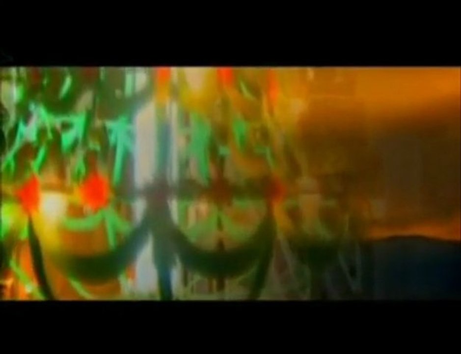 Bir cift turna-Ibrahim Basaran