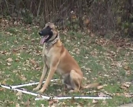 corto du calvaire aux acacias sans musique !