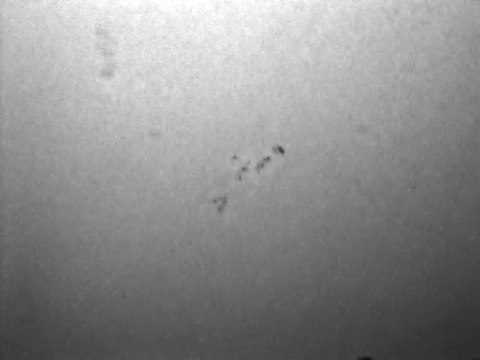 25 Octobre 2009 - Tâches solaires