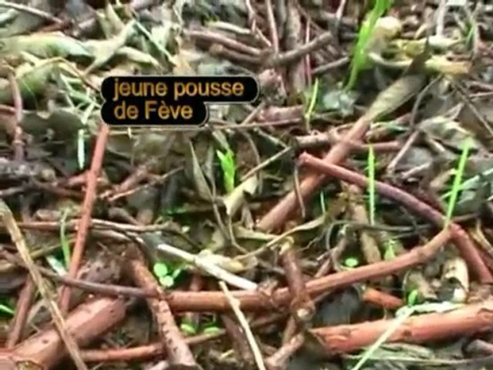 Nouvelle butte potagère