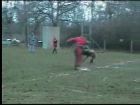 CYRIUS DU MUSHER à St brisson sur loire échelon II