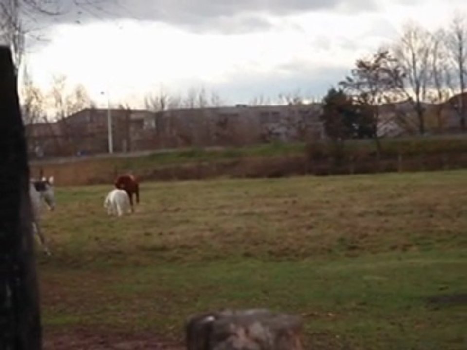 kehops a la vendée