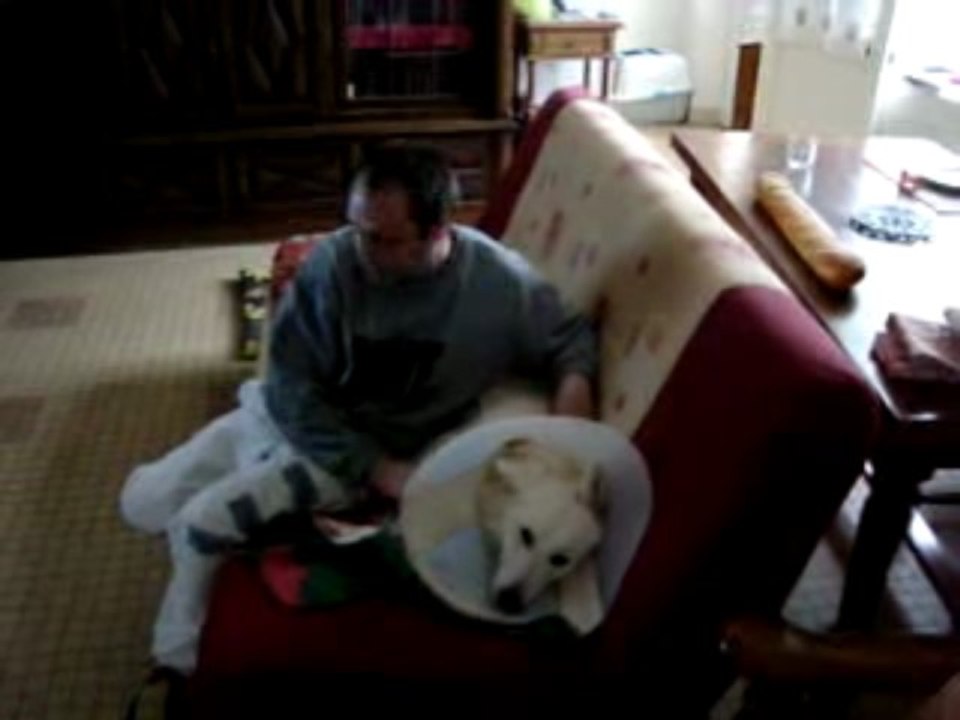 donald et son maitre