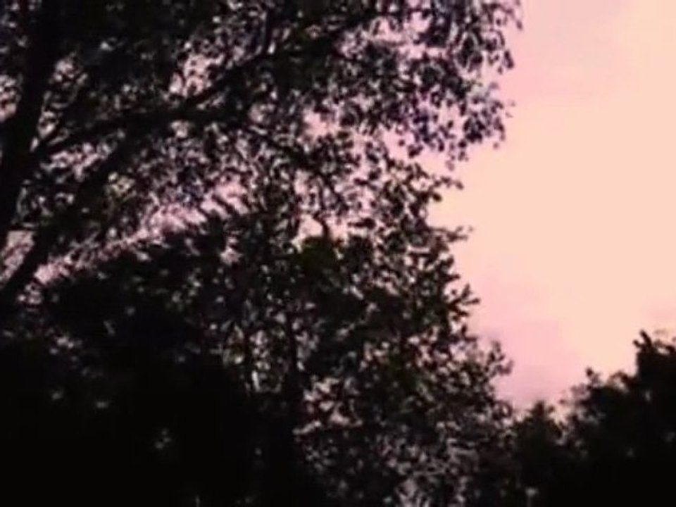 KENDİNİZİ BU MÜZİGİN RÜZGARINA BIRAKIP DİNLENİN  ( by_TEK_ )