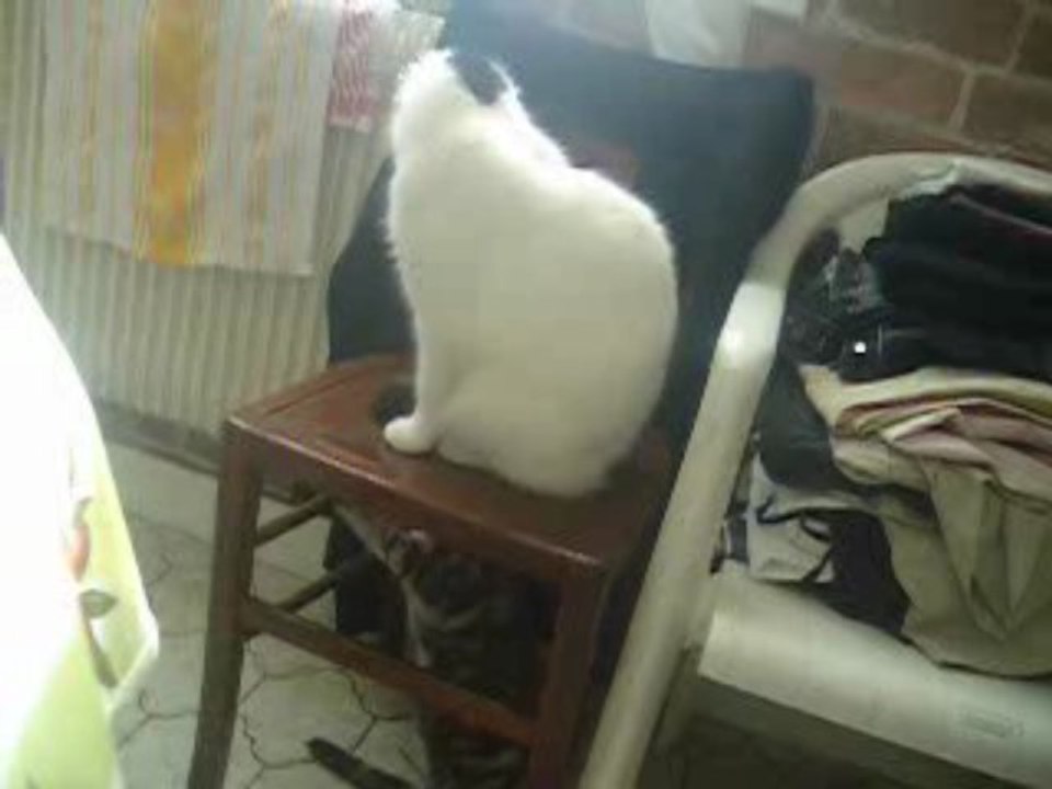 Bataille Mabelle et Léo