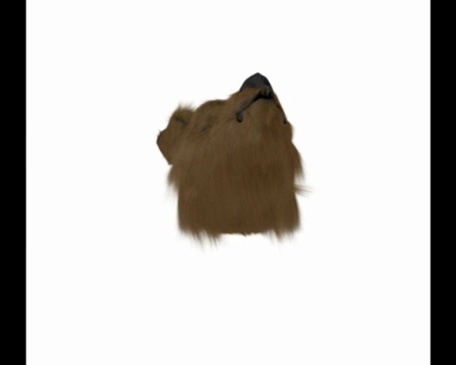 Tête de loup