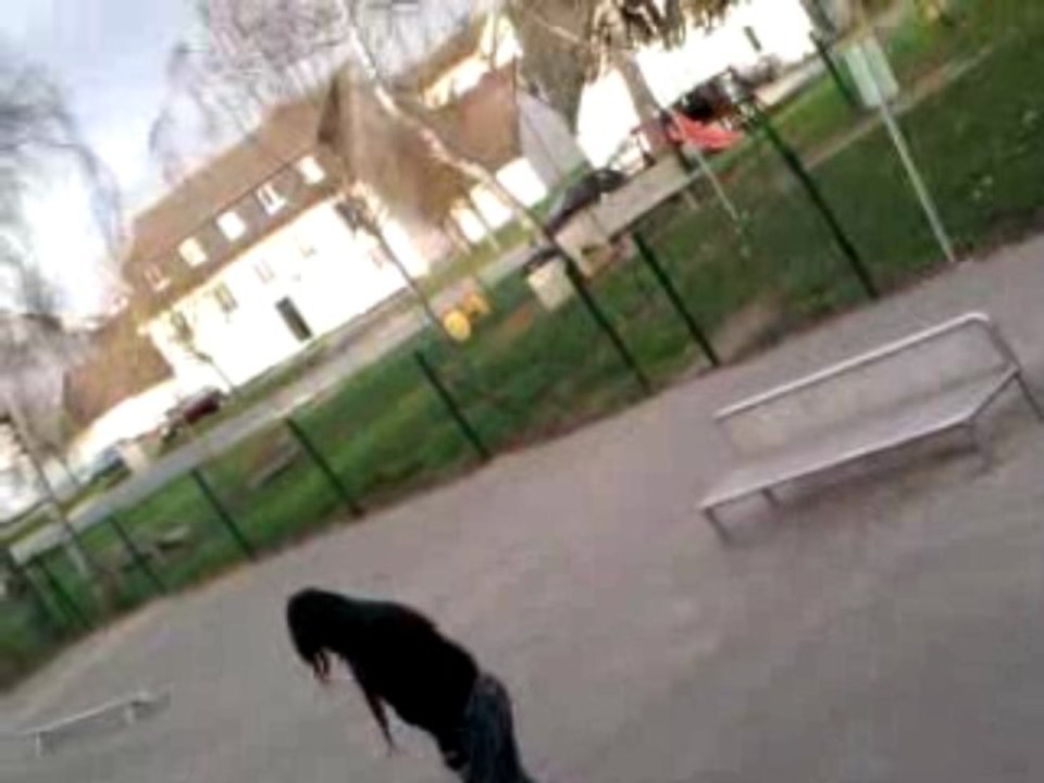 moi en skate ki sai preske po en faire mdr'