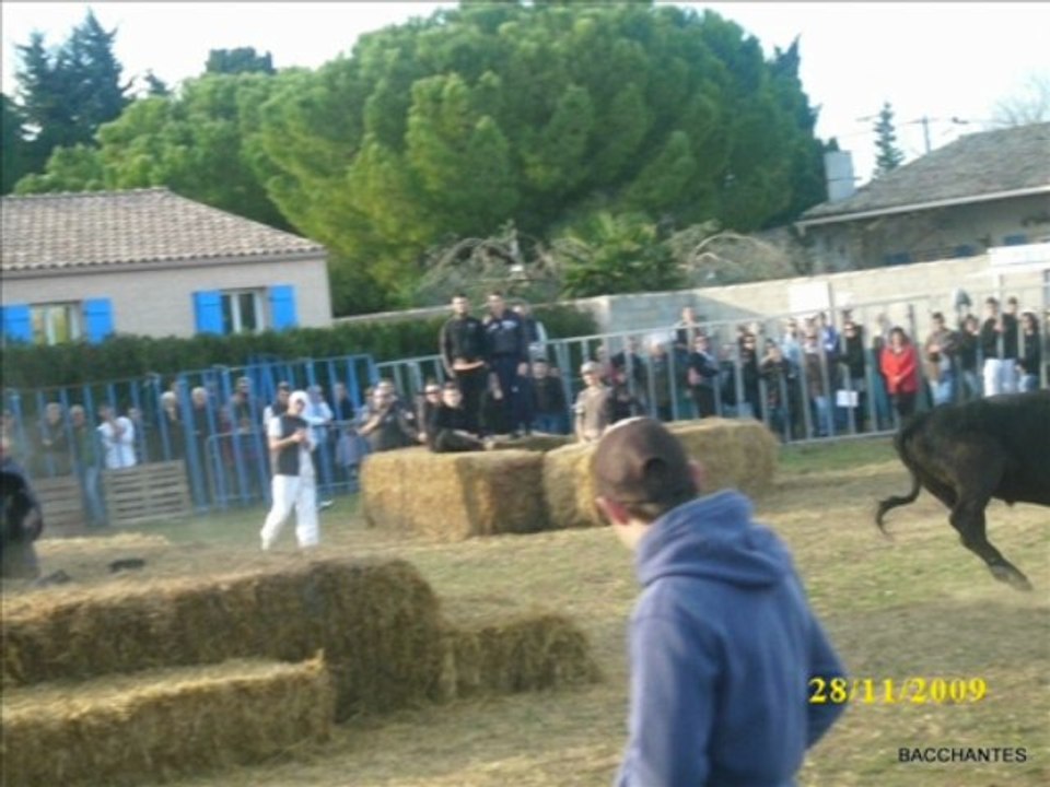 encierro a codognan manade colombet et labourayre 28 11 09