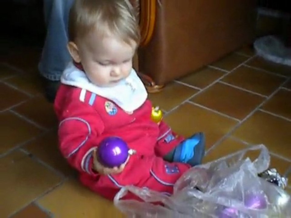 Léo et Sapin Noel