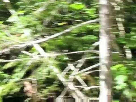 Voyage Canada USA en famille 3