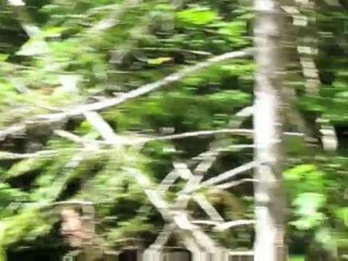 Voyage Canada USA en famille 3