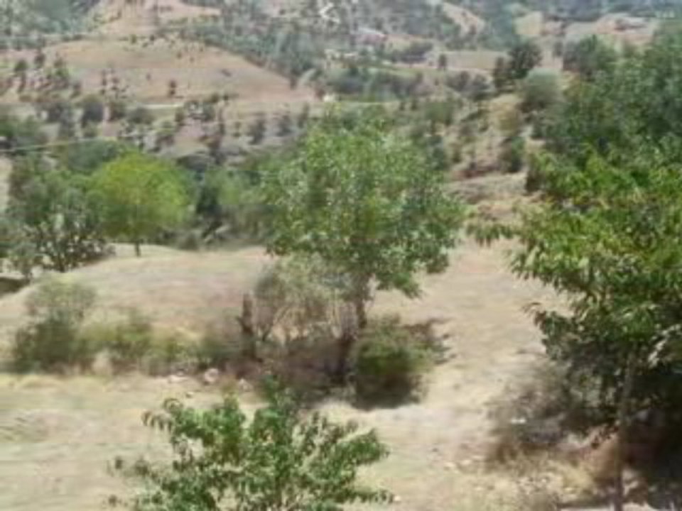 Grup Seyran - Derdo Limin