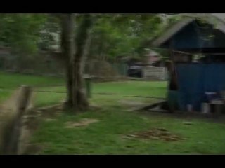 Brunei Vol. 3: Mercados y Frutas Únicas 🍍