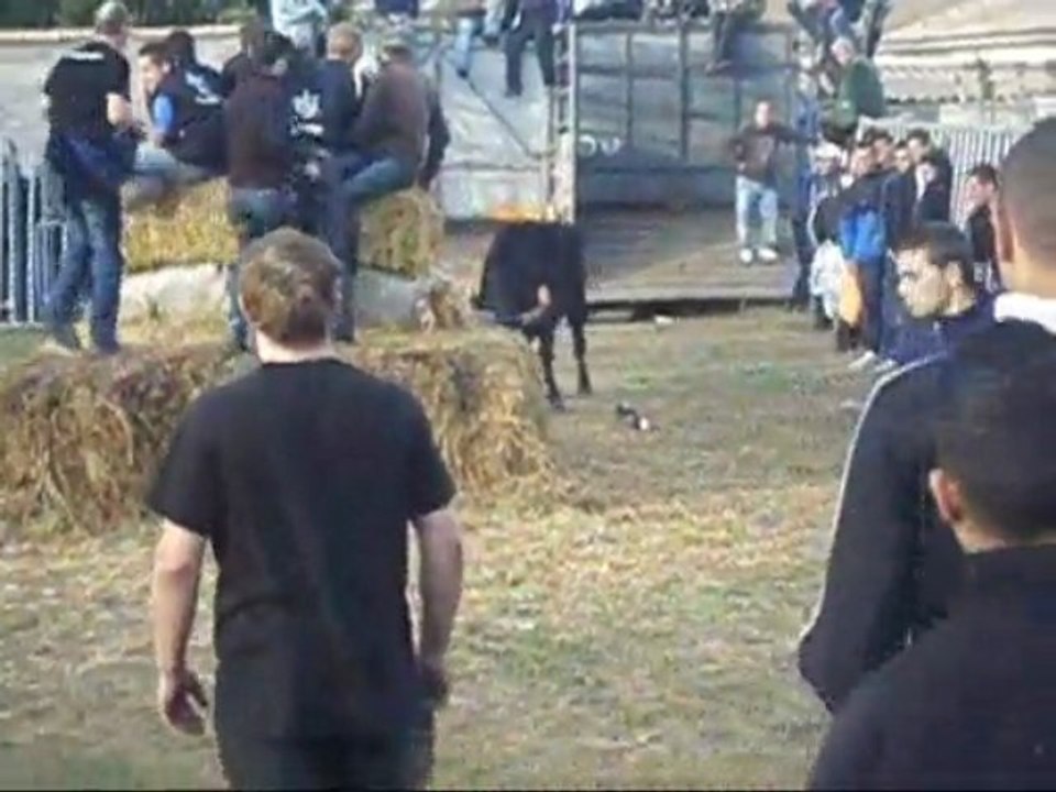 encierro a codognanmanade colombet et labourayre 28 11 09