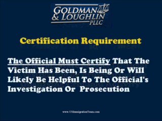 U Visas: U Visa Application Information