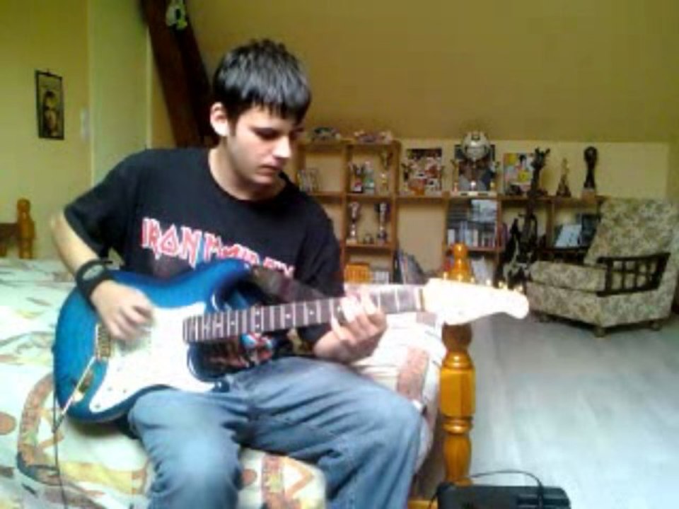 rock'n roll is dead (lenny kravitz) a la guitare