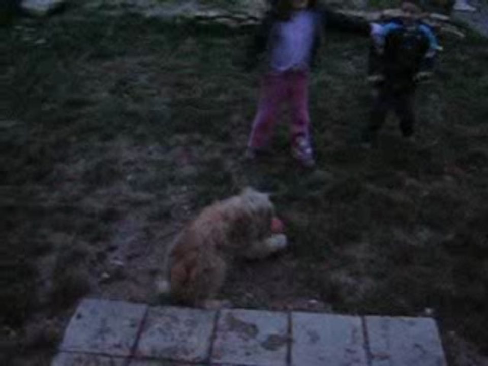 ockley et le ballon