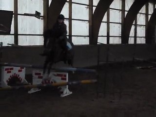 Irish et moi(avec soubassement)