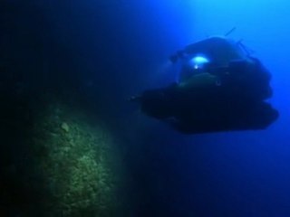 animaux des profondeurs (1/6)