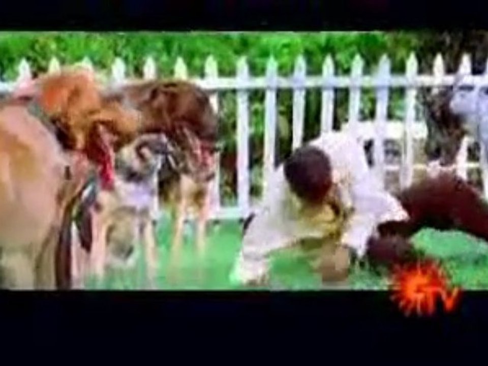 siripu 2