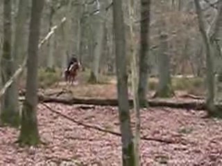 sauts de Rubis et de Roi