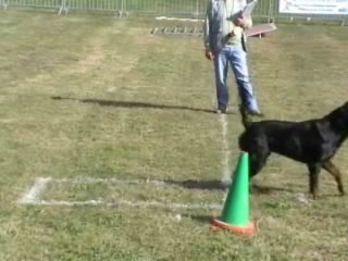 CARTOUCHE FINALE COUPE DES CLUBS 2009 RING 1