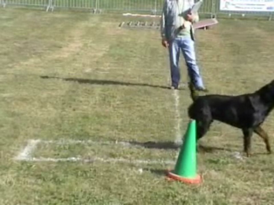 CARTOUCHE FINALE COUPE DES CLUBS 2009 RING 1