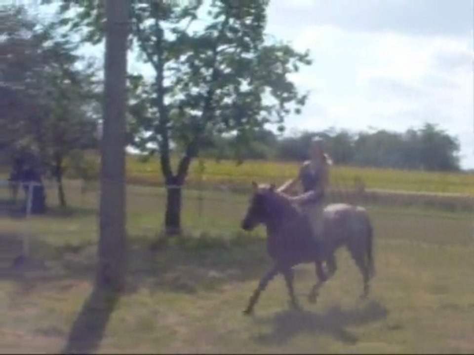 Saut - Moi et Nenette.