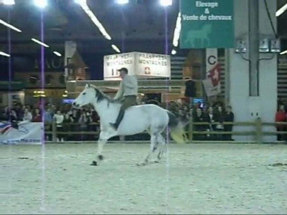 Salon du Cheval de Paris 2oo8