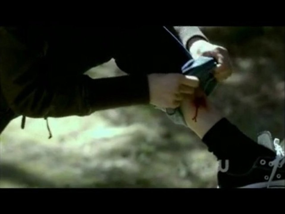 THE VAMPIRE DIARIES FANMADE