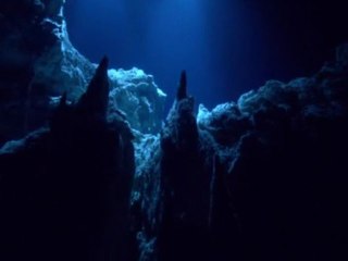 animaux des profondeurs (2/6)