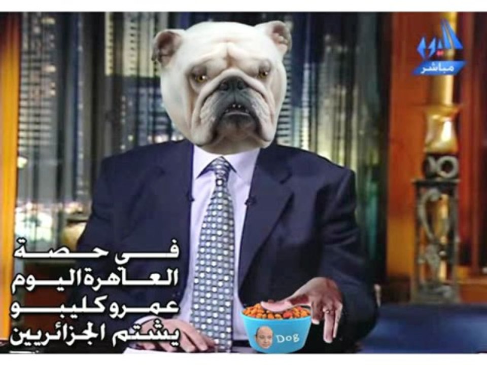 الجزائر ضد مصر عمرو اديب على صورته الحقيقية3