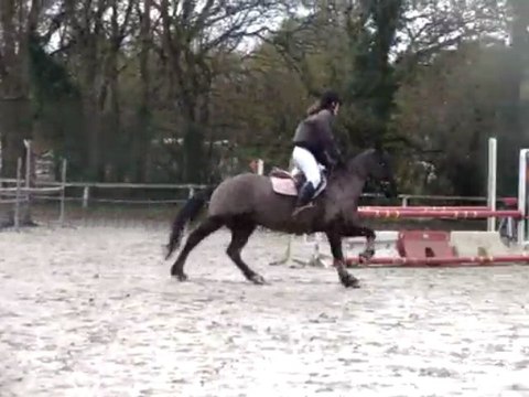 CSO Pont L'abbé Kavall & PoOki