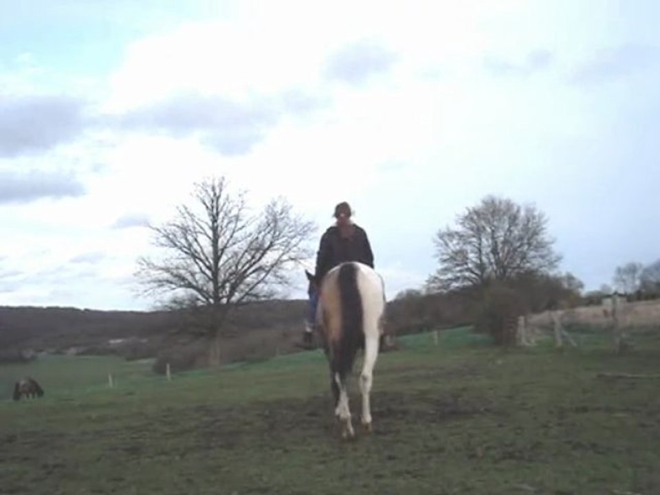Storm