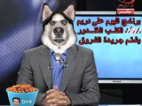 الجزائر ضد مصر خالد الغندور على صورته الحقيقية2 khaled ghan