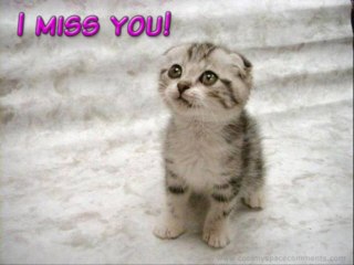 You will be safe in my arms